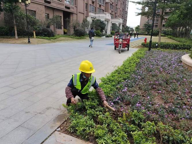 连云港海州区绿化养护管理一处全面开展春季补植工作 范文模稿 连云港海州区绿化养护管理一处全面开展春季补植工作 范文模稿