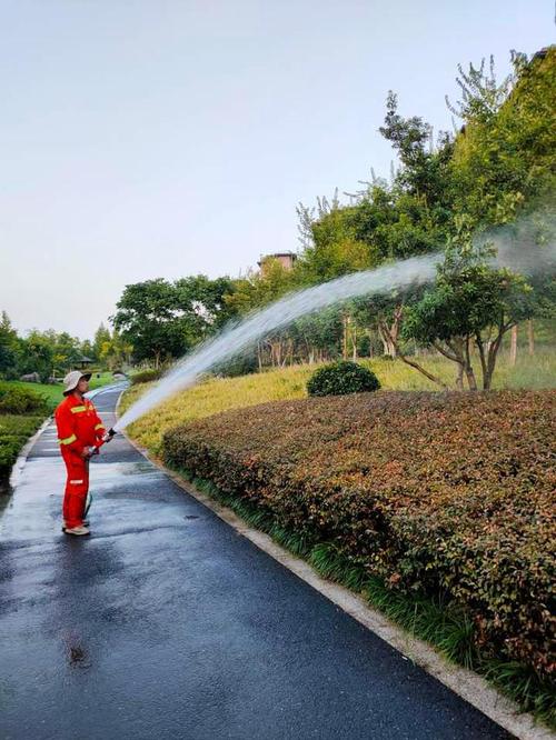 国庆热成暑假杭州花草凌乱了绿化工曾照兴为15万方绿化浇水到深夜 范文模稿