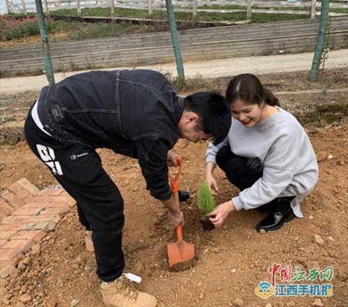 手植一棵树 收获万点绿邮储银行永春支行开展植树活动 范文模稿