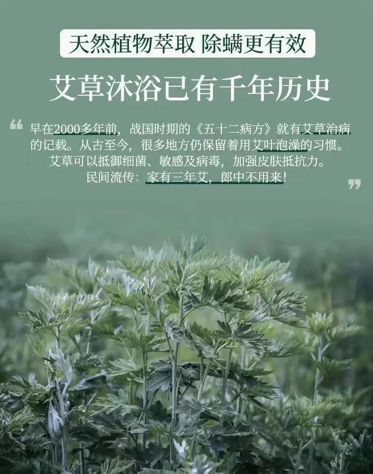 治病灸穴驱蚊虫艾叶薰洗显奇效 范文模稿