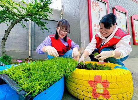 丽水社区居民为春日充植 让小区颜值更养眼 范文模稿