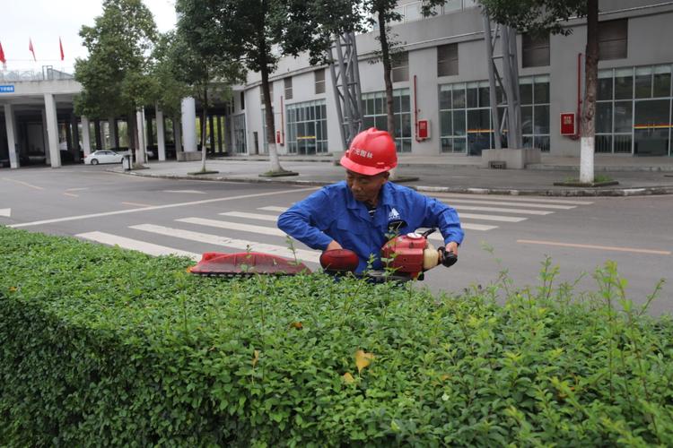 东莞厚街为绿植修剪理发提升城市道路颜值 范文模稿