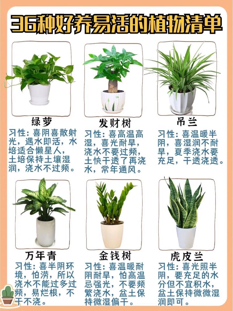 植物的养活方法因植物种类 范文模稿