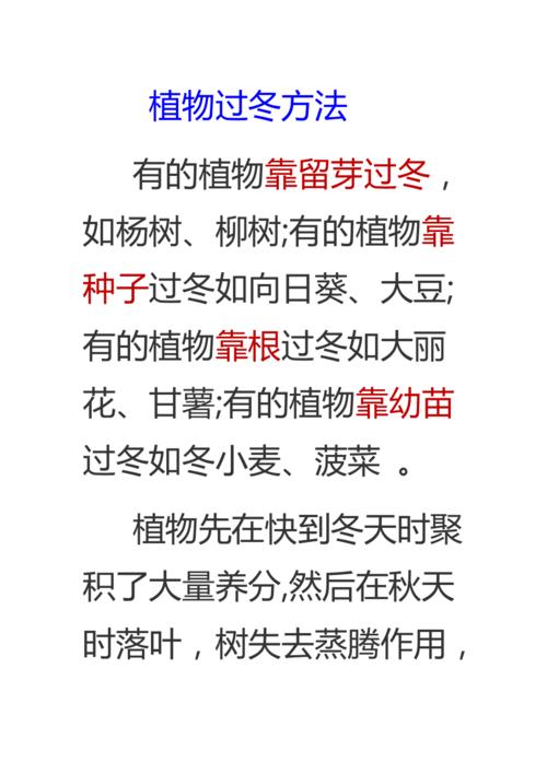 庭院养护你的庭院植物过冬保护做好了吗这四个步骤可要记好 范文模稿