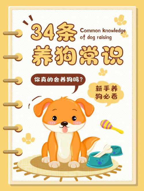 养宠的兴起应该如何做才能让狗狗与我们和谐相处呢 范文模稿
