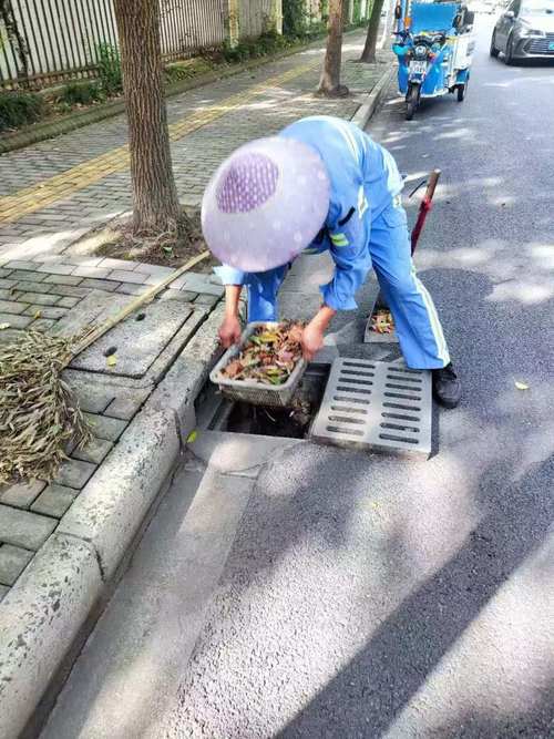 加固树木疏通沟渠松江绿化养护人员纷纷奔赴防台风一线 范文模稿