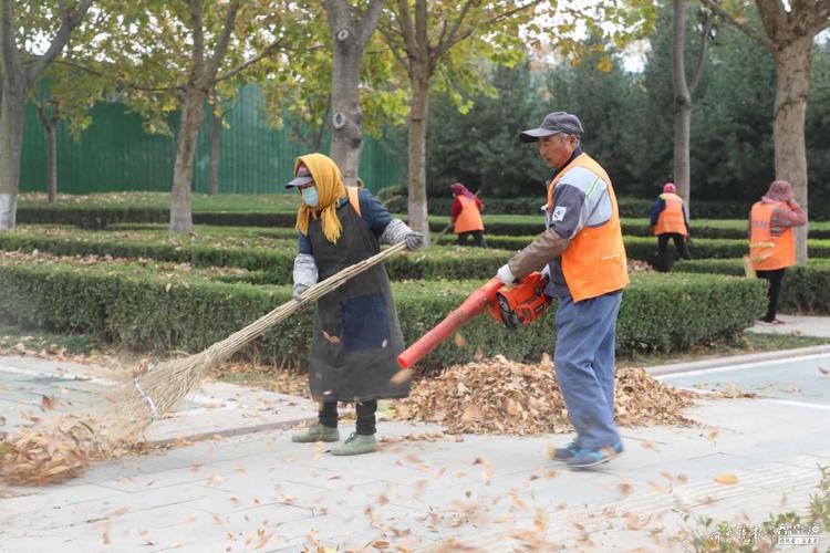 太白湖新区全天候地毯式清洁给绿植也洗洗澡 范文模稿