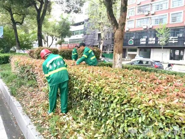 蕲春开启城区绿化养护 艾都颜值节节攀升 范文模稿