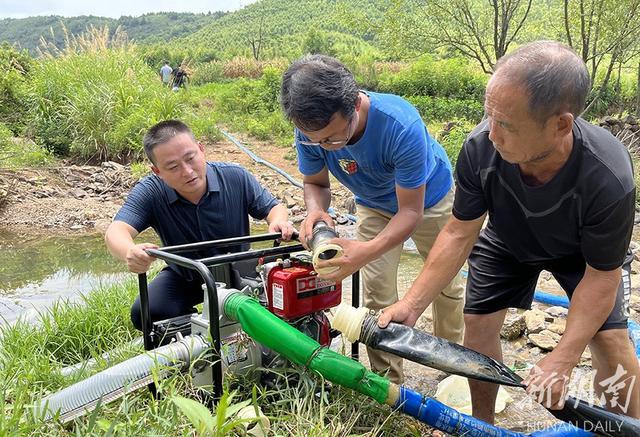 蔡甸多措保苗抗旱护绿植安全度夏 范文模稿