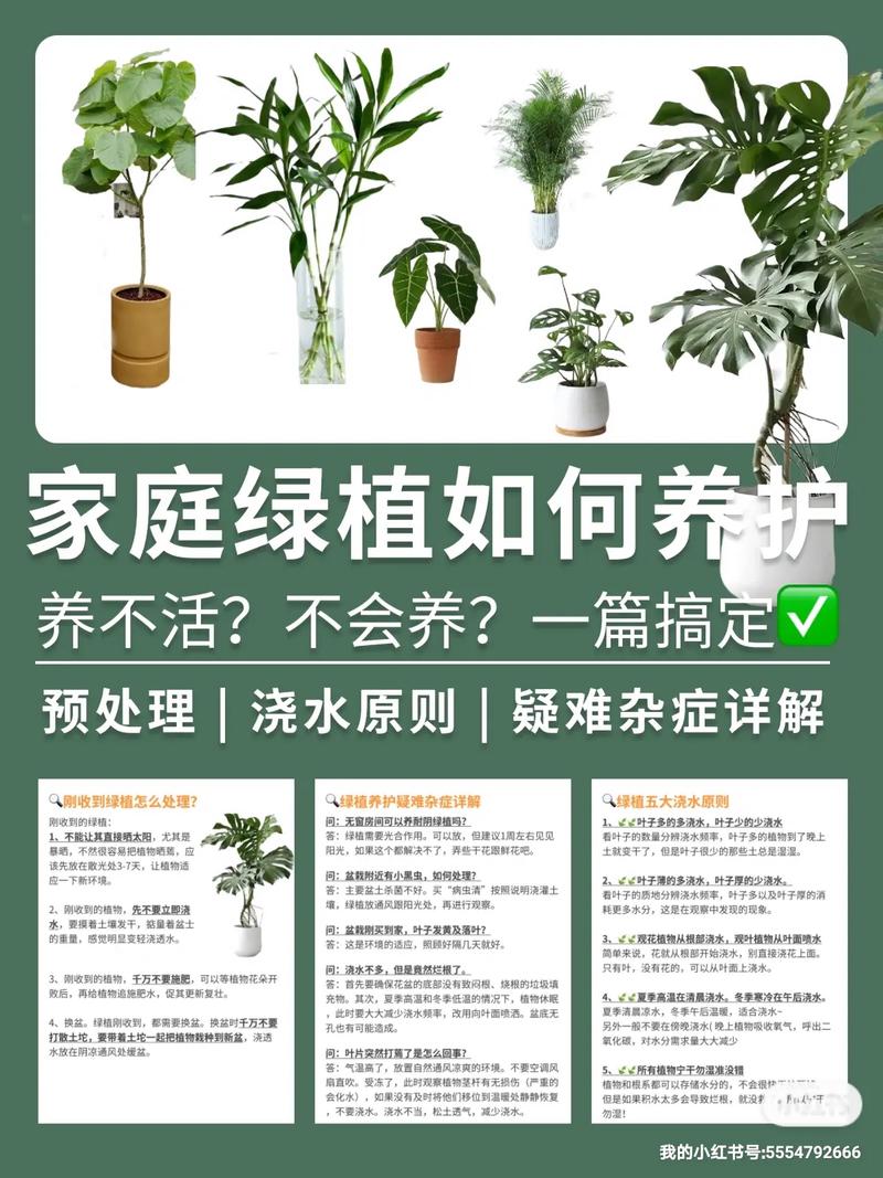 夏天室内绿植该如何养护来听园林专家的建议 范文模稿 夏天室内绿植该如何养护来听园林专家的建议 范文模稿