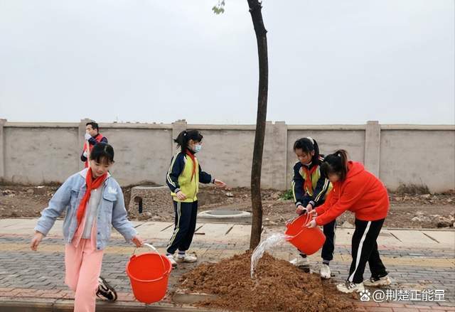 武穴市实验小学钱炉校区开展添绿行动和植物养护实践活动 范文模稿