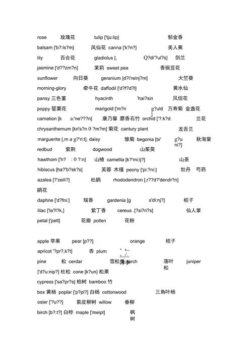 100个常用植物树木和花园类英语单词写作口语考研四六级必备 范文模稿