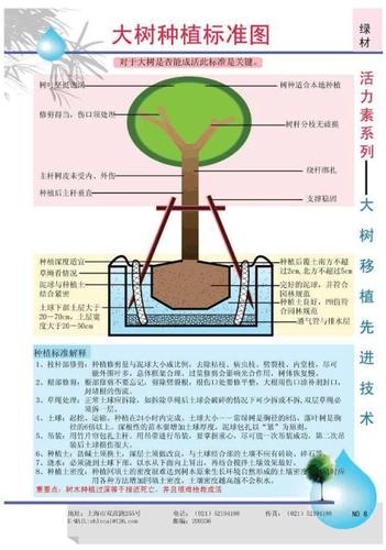 新栽树木成活期的养护管理技术建议收藏哦 范文模稿