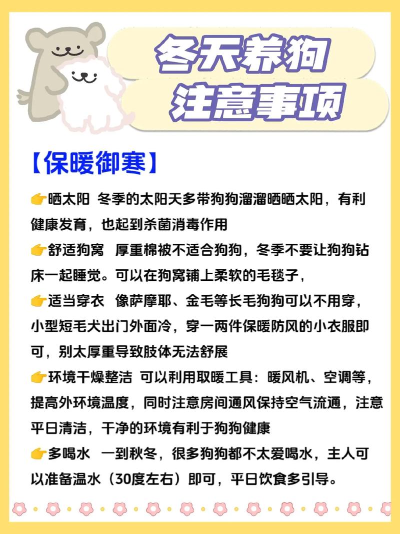 冬天养狗注意事项做好这6点狗狗少生病 范文模稿 冬天养狗注意事项做好这6点狗狗少生病 范文模稿