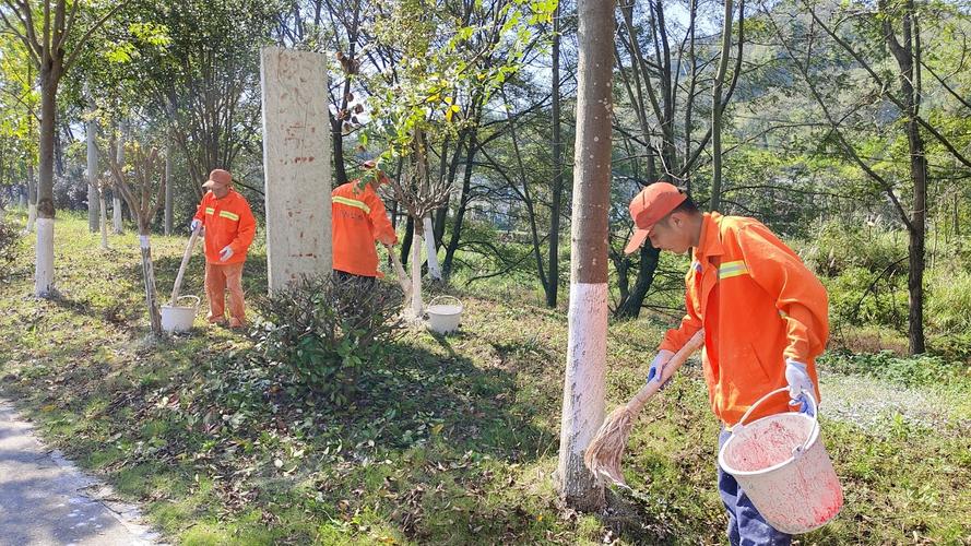 行道树集体换冬装 范文模稿