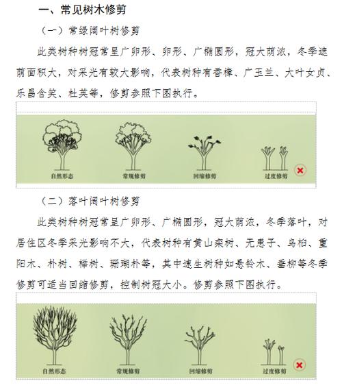 绿化苗木的养护宝典修剪与施肥的黄金法则 范文模稿 绿化苗木的养护宝典修剪与施肥的黄金法则 范文模稿