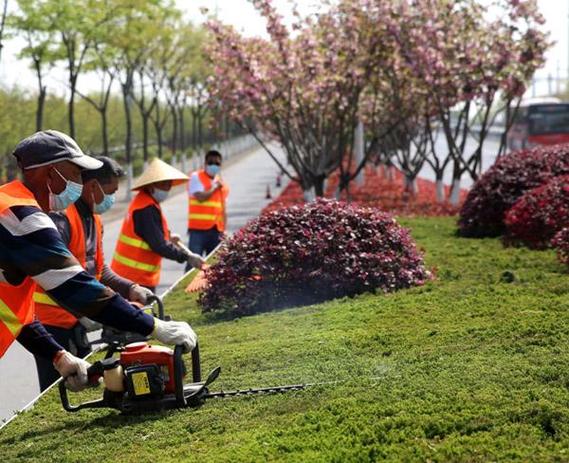 大邑城区部分绿化管护实施市场化 范文模稿