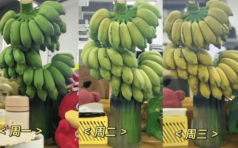 我在工位养了一把香蕉当代年轻人的工位装修又上新了 范文模稿