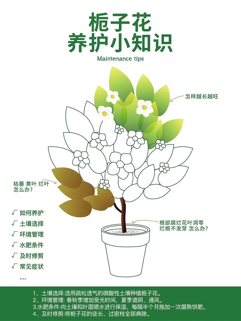 园林植物栽植与养护简易技术养护篇 范文模稿