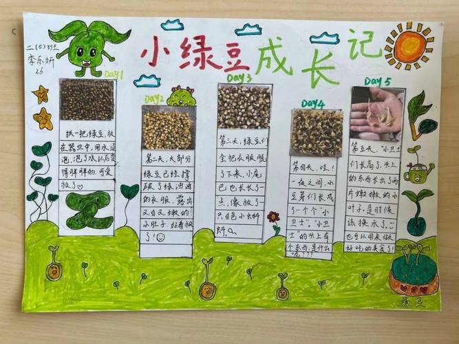自己在家怎么种植小草绿植盆栽小草30天生长过程 范文模稿