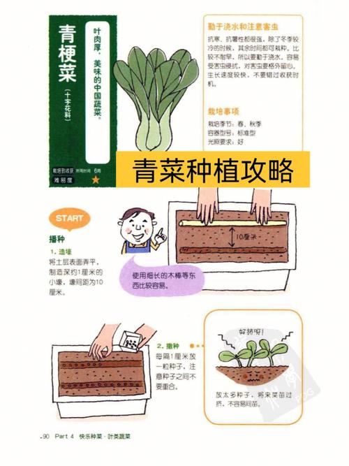 阳台种菜学会这一招蔬菜发芽快长势旺一年不愁没菜吃 范文模稿