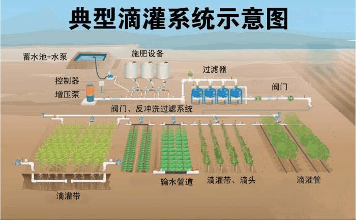 一起来了解园林灌溉的注意事项 范文模稿