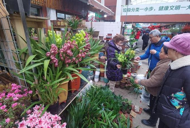 虹桥岚灵花市全面恢复营业花价并未大涨有的还便宜了花店老板生活还得像花儿一样继续美丽 范文模稿