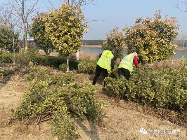 呼和浩特市春季绿化建设养护工作全面启动 范文模稿