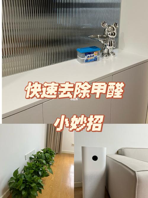 出租房甲醛高打工妹花600块爆改18㎡房间塞满绿植房东乐了 范文模稿