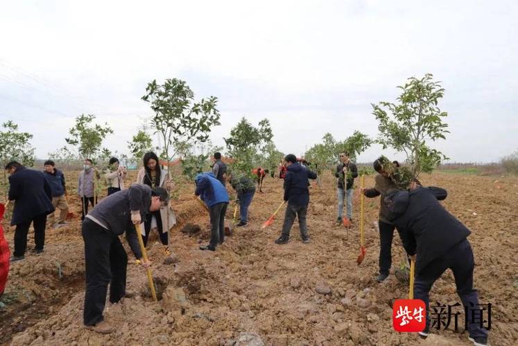 南京义务植树3月4日起报名今年有6个植树基地等您添绿 范文模稿