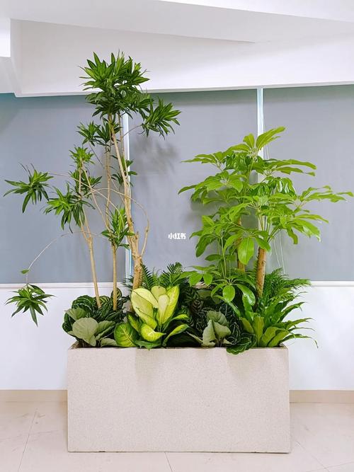 你信吗混凝土里可以种绿植 范文模稿