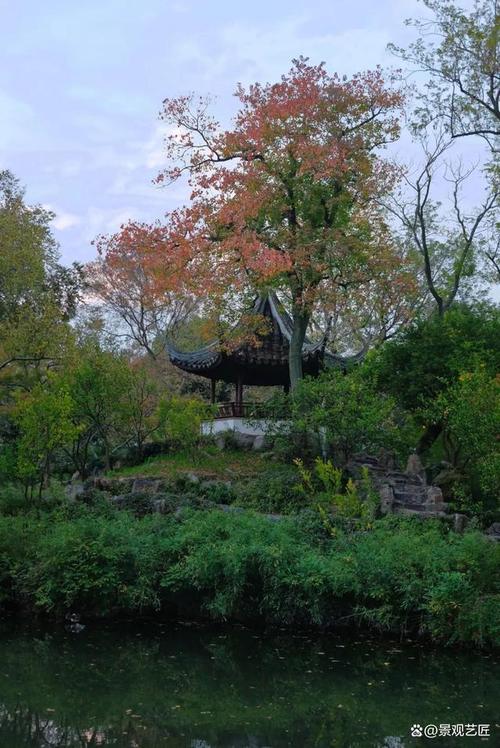 西湖边的植物开启冬季养护三部曲期待来春展新颜 范文模稿