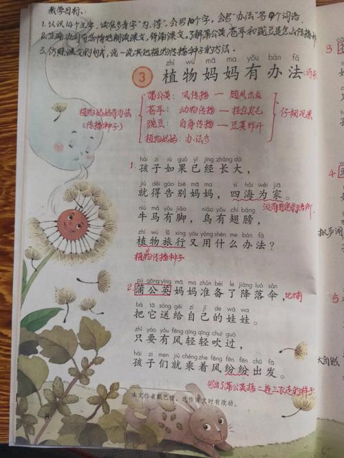 二年级语文植物妈妈有办法学拟人修辞技巧和含有植物的词组 范文模稿
