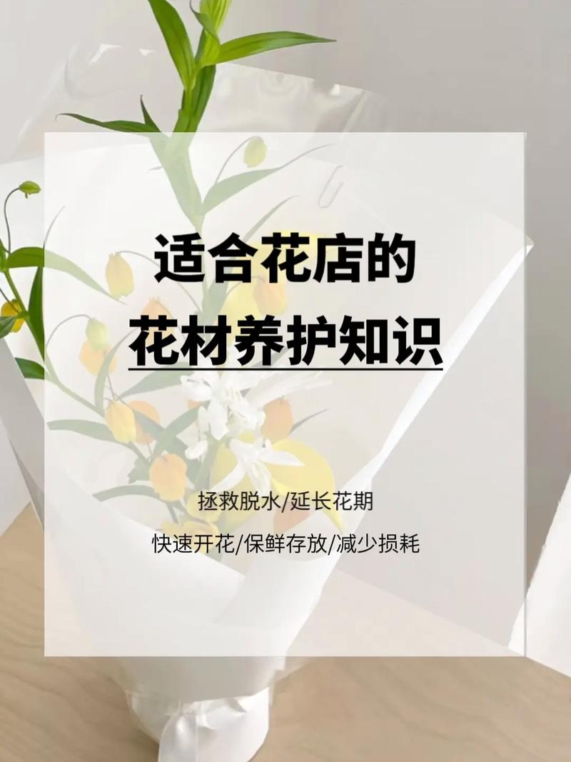 开花店那些事儿｜经营花店花店老板该掌握的常见花材护理方法 范文模稿