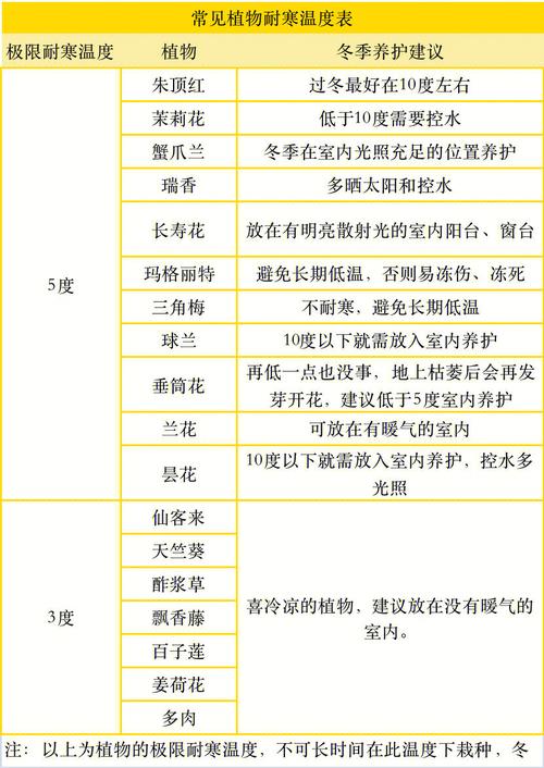 冬天植物防寒方法千千万这3种最简单有效你一定要知道 范文模稿