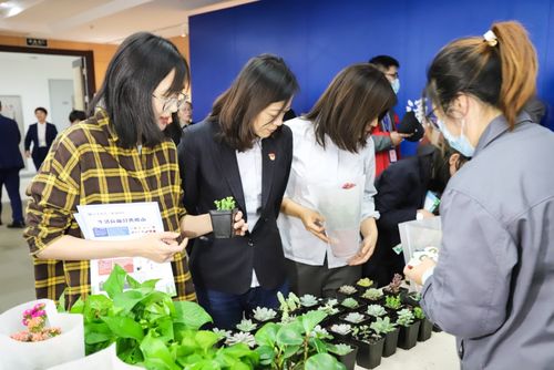 1元就能换绿植这场爱心换购在月河景区和梅花洲景区同步开展 范文模稿