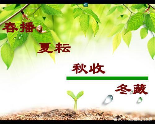 小卡片益生菌高产量春耕时节怎么能少得了它们 范文模稿