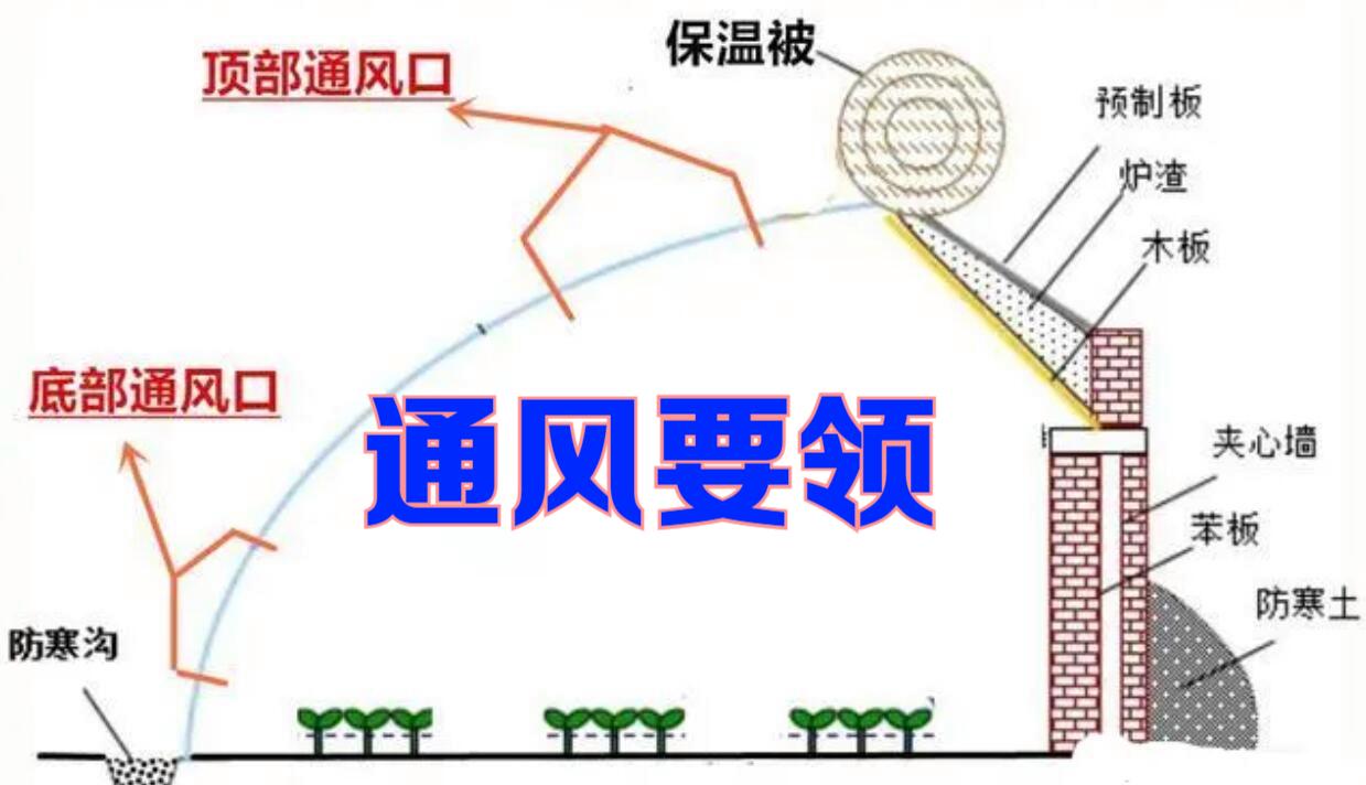 冬季温室大棚坚持每天通风有哪些好处如何做到安全保温通风 范文模稿