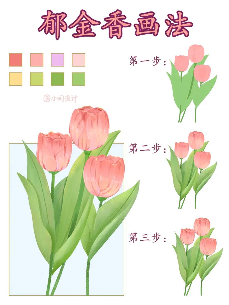 开花郁金香花心教程来了教程 范文模稿