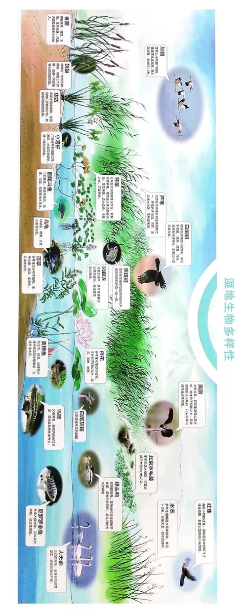 多栖息地景观有助于生物多样性和生态服务  海洋与湿地观察 范文模稿