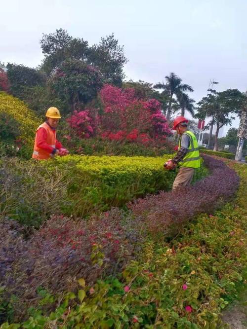 养护绿地布置花卉全市园林绿化养护复工复产有序推进 范文模稿