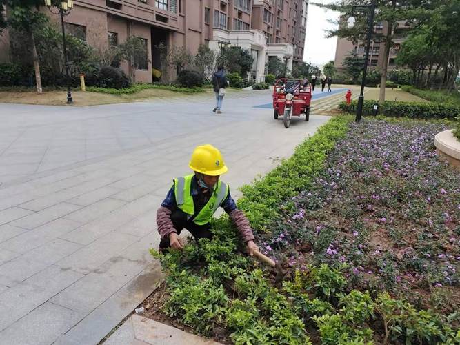 补种花苗绿植美化小区 范文模稿