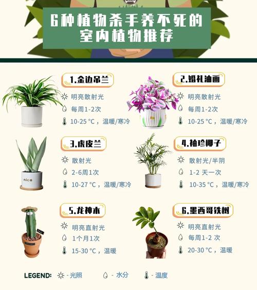 身为手残党首花卉终结者绿植杀手的我推荐三个怎么 范文模稿