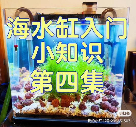 改善你家海缸水质只需6步一起来看看吧 范文模稿