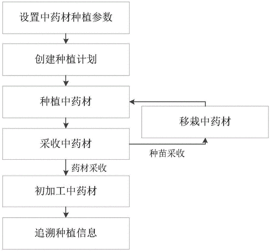 职场 中药材种植技术员的工作流程 范文模稿