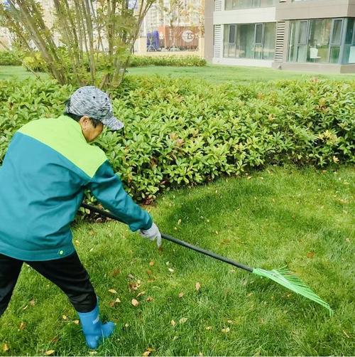 东海万科城市之光三期绿化良好保洁到位 问题得到闭环整改 范文模稿