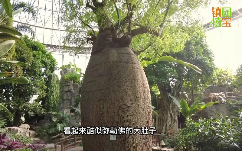 揭秘世界花卉大观园三大镇园植宝树龄相加超1000岁 范文模稿