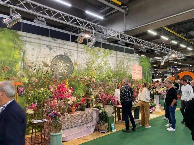 荷兰阿尔斯米尔贸易展Trade Fair Aalsmeer举办多图  每周国际花讯 范文模稿