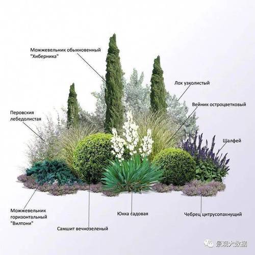 植物造景现代景观植物设计方法与步骤 范文模稿 植物造景现代景观植物设计方法与步骤 范文模稿