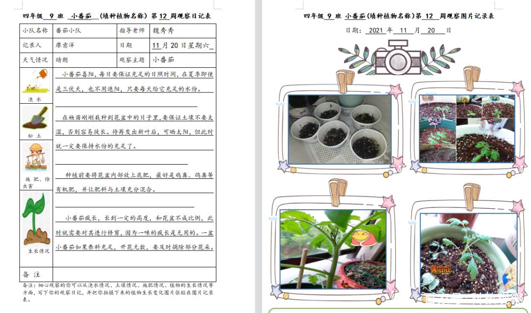 精美又实用的高颜值儿童园艺指南动手种植的过程中感受自然乐趣 范文模稿